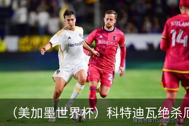 （美加墨世界杯）科特迪瓦绝杀厄瓜多尔 瑞典5:1大胜突尼斯